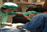 SLE Surgical Penis Enlargement Procedures.